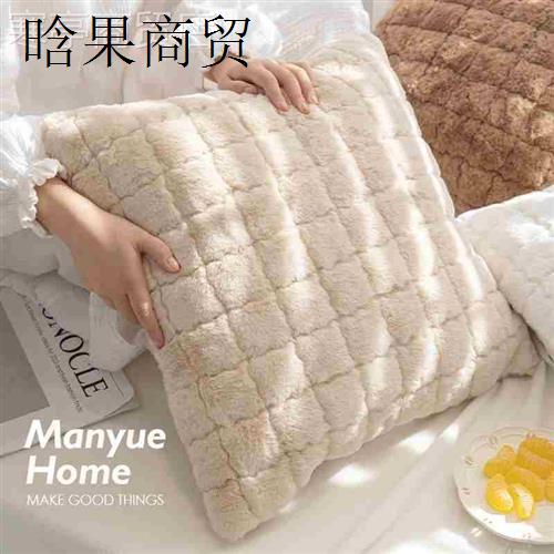 Pillow cushion sofa cushion office waist pillow cover core