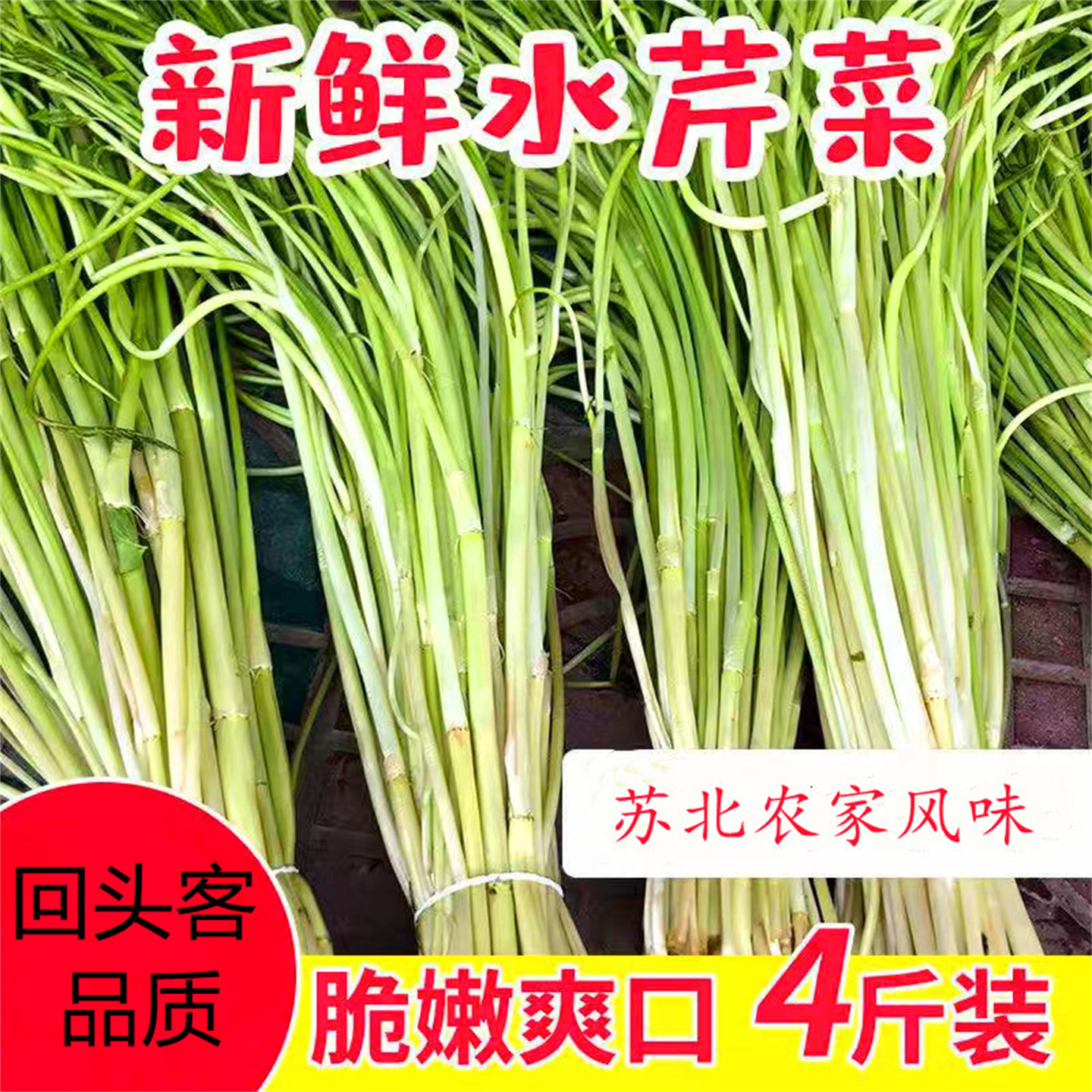 品质新鲜水芹菜现摘现发