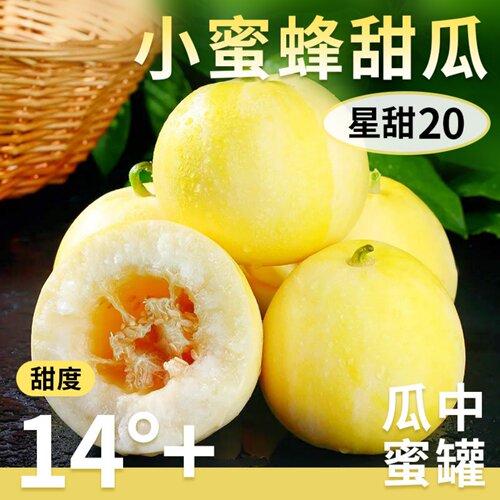 正宗山东小蜜蜂甜瓜香瓜脆甜蜜瓜新鲜孕妇水果头茬新甜20蜜罐脆瓜