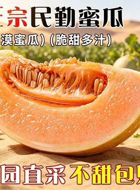 正宗甘肃民勤蜜瓜沙漠新鲜水果当季黄金甜瓜现摘现发黄河脆甜香瓜