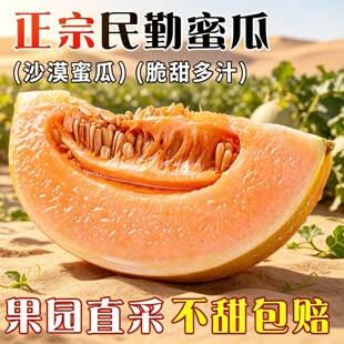 正宗甘肃民勤蜜瓜沙漠新鲜水果当季黄金甜瓜现摘现发黄河脆甜香瓜