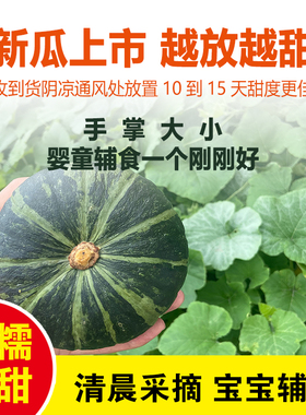 真贝贝南瓜板栗小南瓜正宗婴儿辅食应季新鲜水果蔬菜礼盒装老南瓜