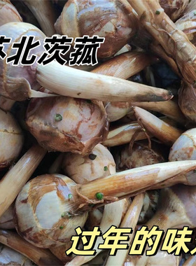 苏北茨菇新鲜时令蔬菜小慈姑鲜茨菰江苏慈菇现挖农家非云南山茨菇