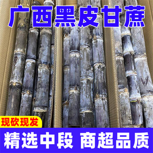正宗广西黑皮甘蔗新鲜批发水果新鲜当季整箱一级中段品质鲜甘蔗