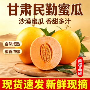 正宗甘肃民勤蜜瓜沙漠新鲜水果当季黄金甜瓜现摘现发黄河脆甜香瓜