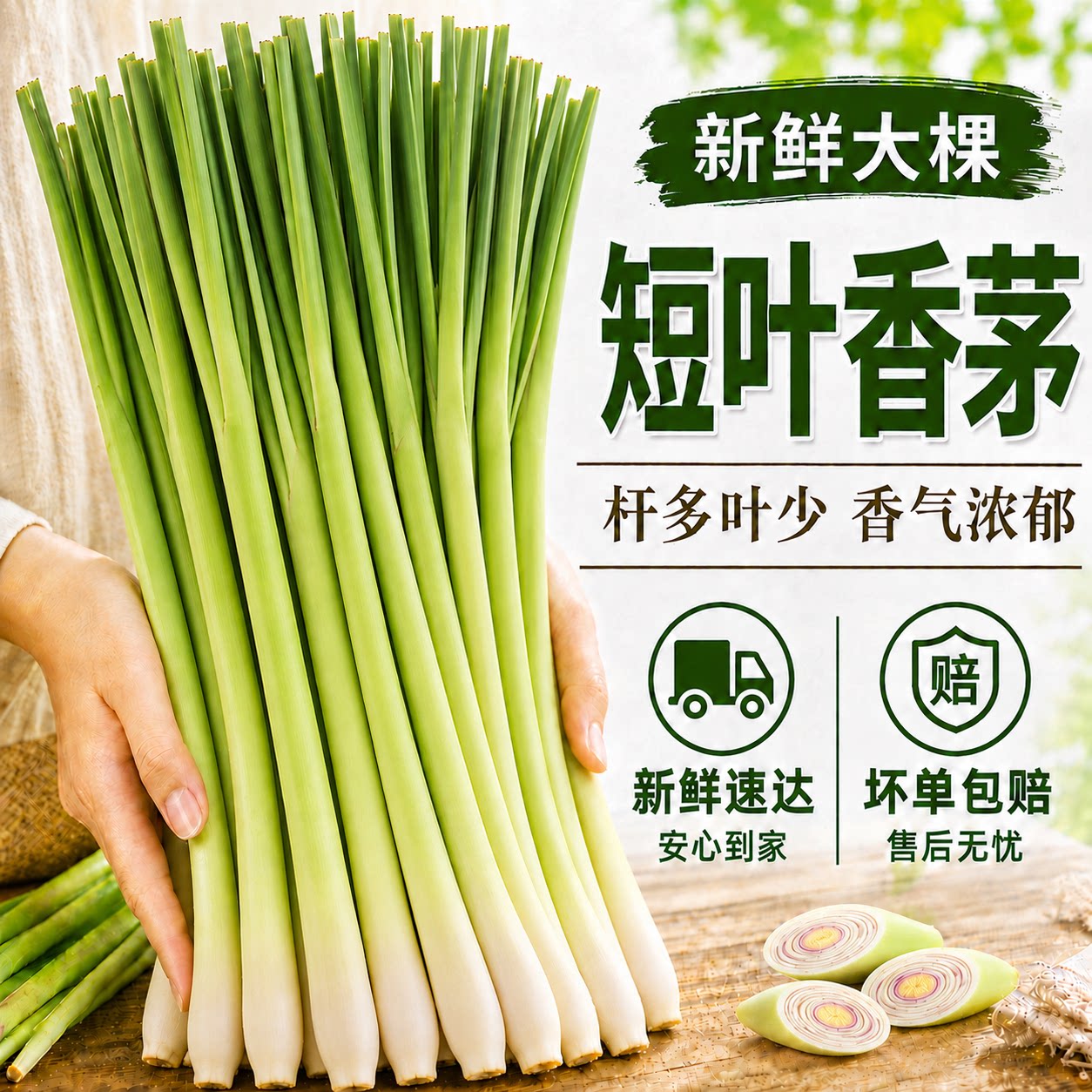 香茅草新鲜香料柠檬草鲜香茅商用农家自种时令当季蔬菜食用野菜