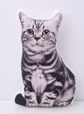 diy巨丑猫无白边抱枕宠物狗异形定制照片创意可爱创意生日礼物