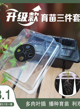 多肉植物扦插带盖加厚育苗盒