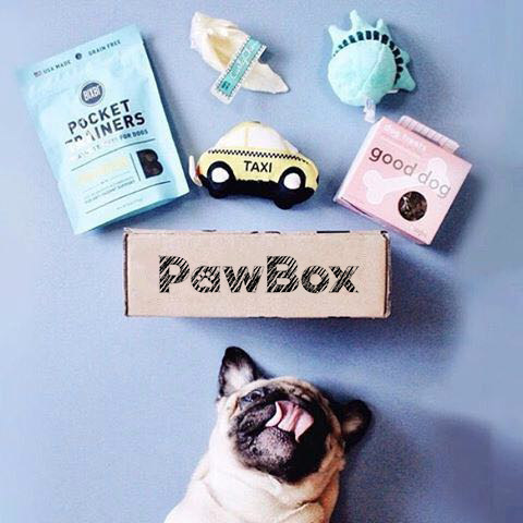 PawBox Bubble Dogs Toys snacks Gift box Semi annual order)in the Pet/Pet food and supplies , Cat/Dog Toys , Sound toys  category - from Buy2taobao.com to provide professional Taobao agent buy service