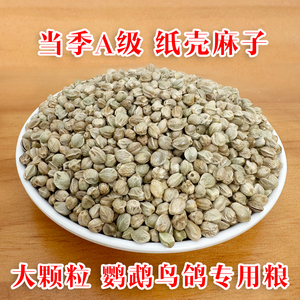 纸壳麻子鹦鹉训练奖励鸟粮