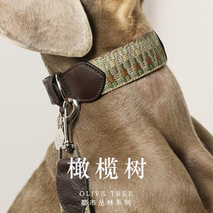 PaiPet宠物项圈狗项圈狗脖圈狗狗牵引绳灵缇惠比特编织真皮防丢失