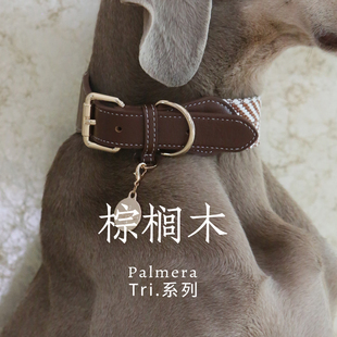 PaiPet小灵缇项圈 paipet狗狗项圈 真皮编织定制 惠比特狗脖