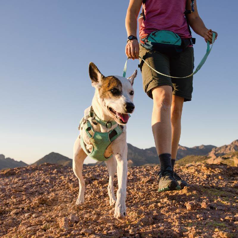 宠物狗牵引绳拉夫威尔嗨轻系列ruffwear遛狗绳中大小型犬宠物牵狗