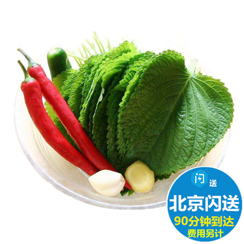 新鲜紫苏叶 苏子叶 日本料理寿司叶日式大叶 只能日料刺身用