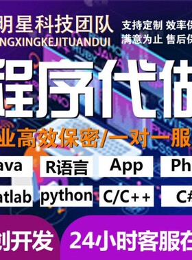 代码编写java系统开发Python代做c/c++程序代编程c#设计R语言接单