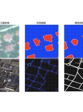 python代编程代做医学图像识别语义分割目标检测优化复现算法创新