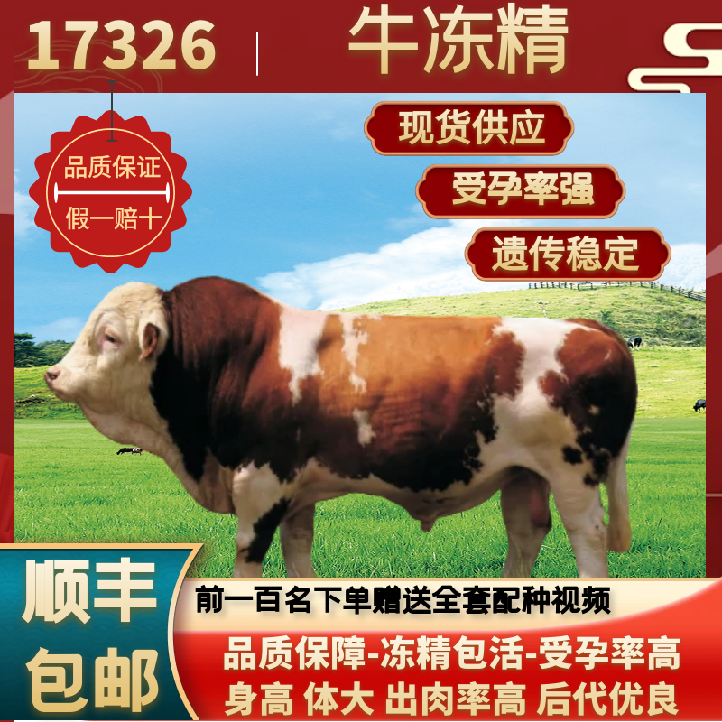 高温牛冻精西门塔尔17326种牛冻精/牛精子/牛精液/牛种子人工授精