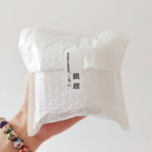新手盲袋盲盒藻球生态瓶迷你植物好养学生宿舍办公室可爱趣小礼物