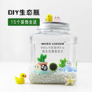 海藻球生态瓶桌面宠物办公室趣味水培微景观宿舍小礼物懒人植物