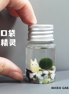 marimo海藻球植物随身瓶 迷你生态瓶趣味马里莫桌面宠物口袋精灵