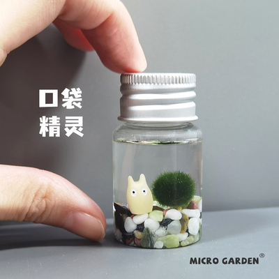 Marimo Seaweed Ball Plant Plant Bottle Mini Экологическая бутылка развлечение малимо настольное карманное карманное карманное карманное эльф