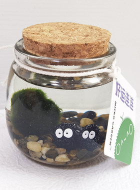 MICROGARDEN桌面生态瓶小宠物