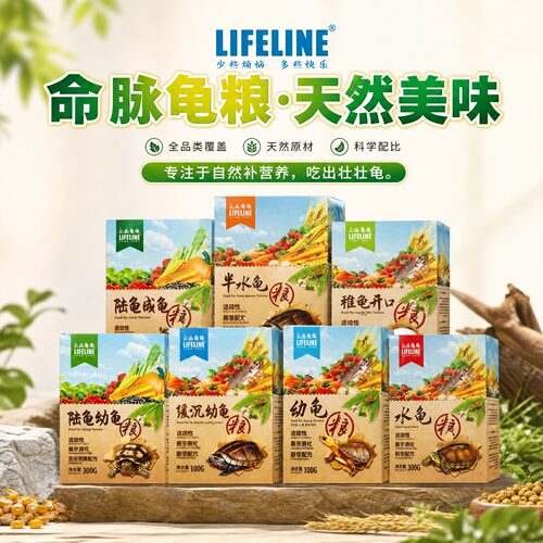 超10年中国品牌标杆，养殖玩家