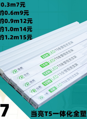 当亮照明灯管超亮led客厅卧室一体化节能全套日光灯条灯具卧室灯