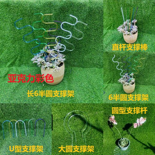 植物固定支撑杆支架蝴蝶兰爬藤架