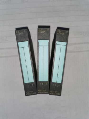 95新 6ES7 131-4FB00-0AB0 2DI ST 质保一年