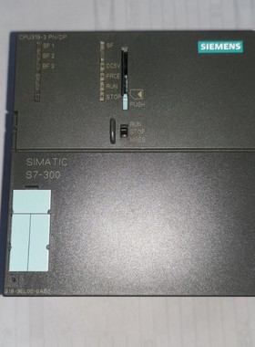 95新 6ES7 318-3EL00-0AB0 CPU319-3PN/DP 可冲新 质保一年