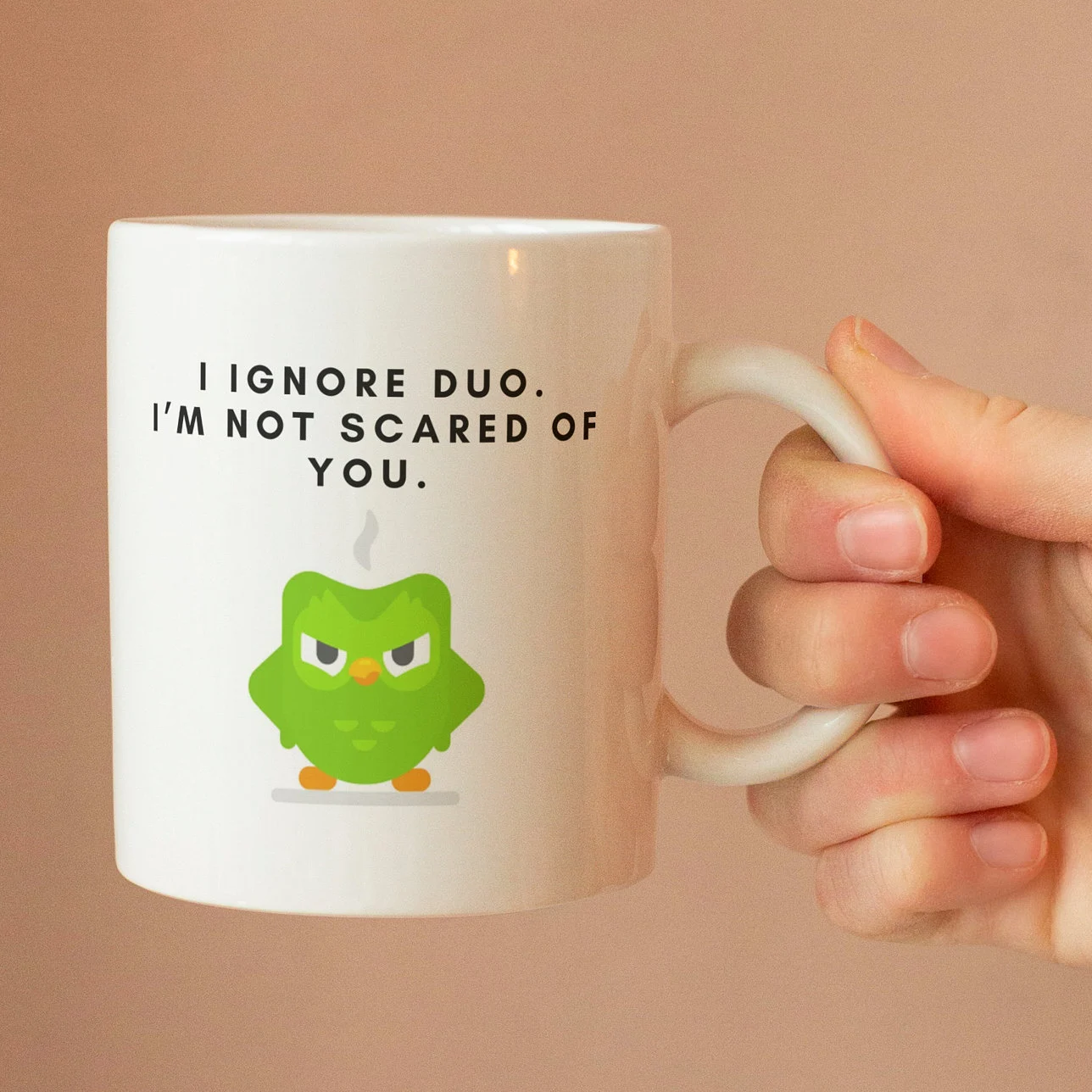 DuolingoOWL多邻国猫头鹰