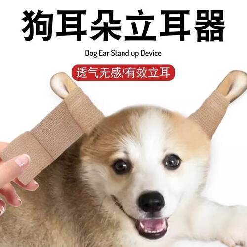 狗狗立耳竖耳贴幼犬通用固定器