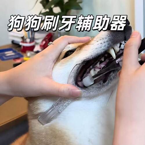 狗狗刷牙开口神器宠物口腔清洁辅助拉钩开口器侧边耐高温扩口器