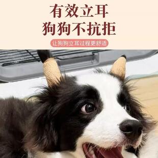 狗耳朵立耳器小狗耳朵立耳器立耳贴幼犬竖耳辅助器无胶水