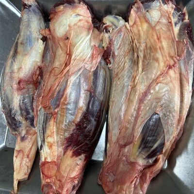 呼伦贝尔不注水牛腱子冷冻保存