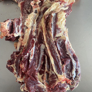 内蒙古呼伦贝尔放养草饲黄膘牛肋条,新鲜牛坑腩肉新鲜牛五花