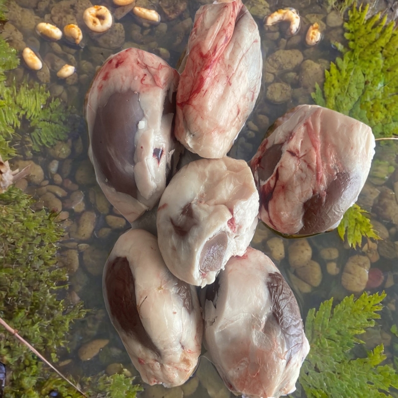 呼伦贝尔本地新鲜羊腰子冷冻保存