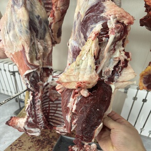 内蒙古呼伦贝尔放养草饲全羊，整羊全羊分割，一只羊，半只羊送礼