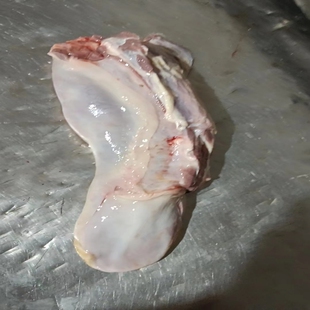 内蒙古呼伦贝尔草饲新鲜牛口条，牛舌头牛舌肉两整条7斤