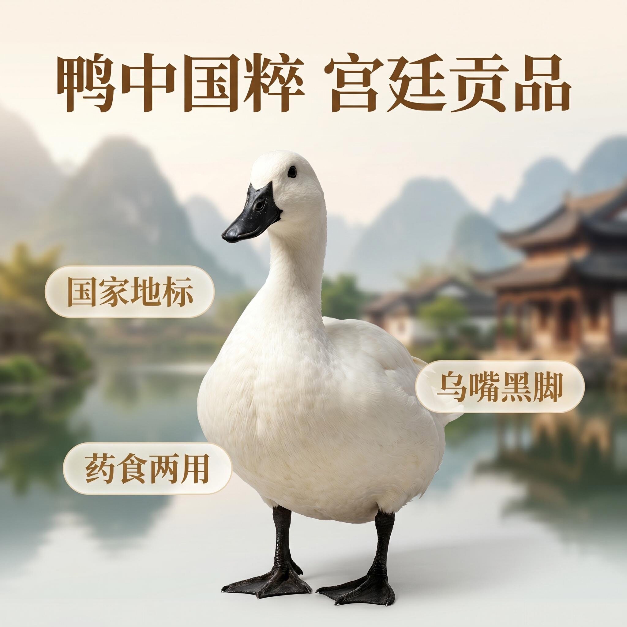 贡鸭堂 福建龙岩连城白鸭 正宗白鹭老鸭汤  顺丰现杀整鸭子礼盒装