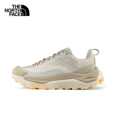 北面女低帮GTX防水徒步鞋鲨齿