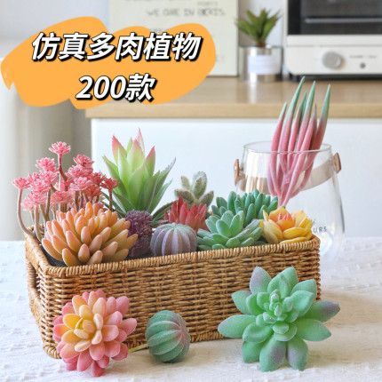 仿真多肉植物ins人造假花微景观造景绿植墙室内家居装饰品小摆件