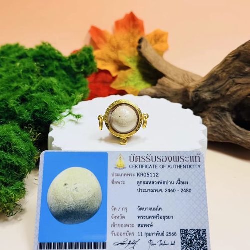 泰国佛牌搬运工 龙婆班2460顶粉路翁，单挂，三挂金壳萨玛空卡