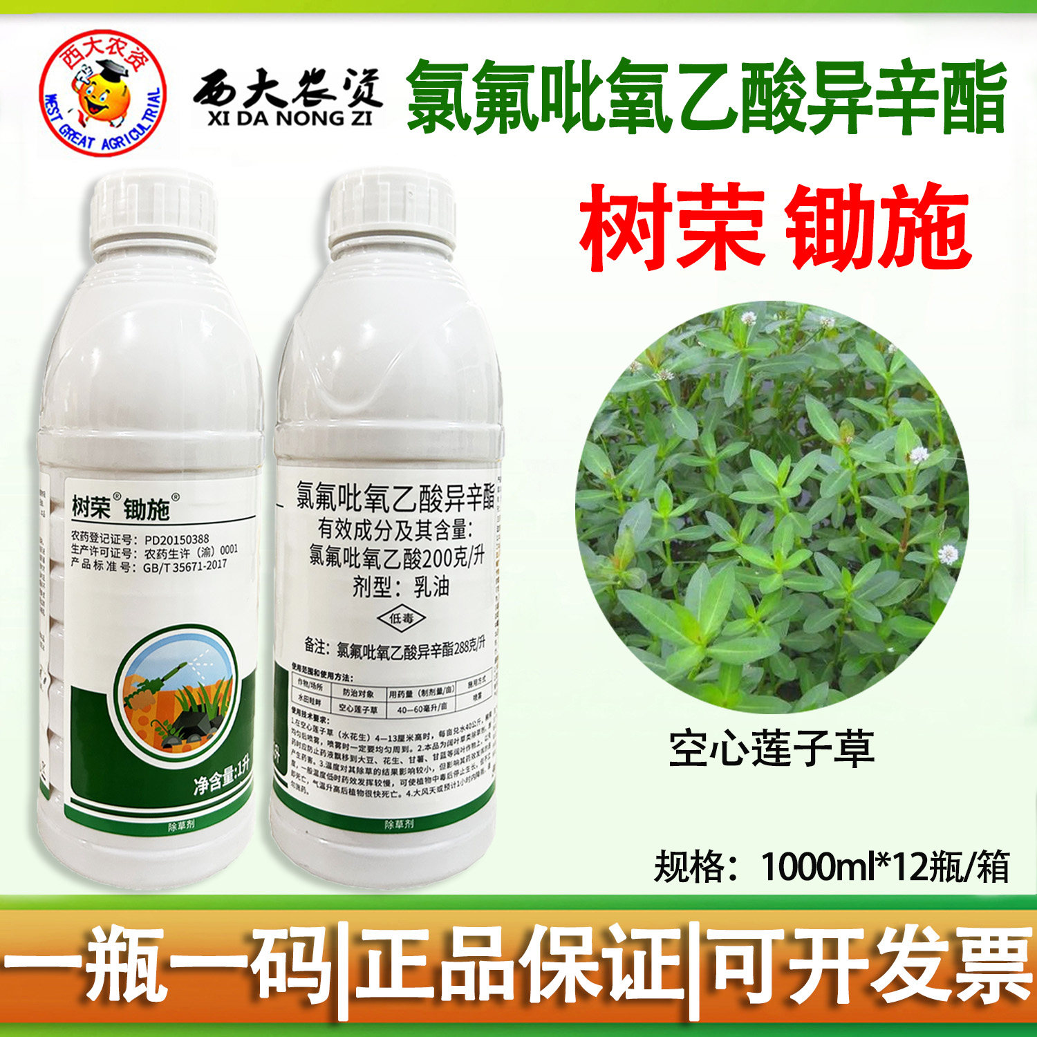 氯氟吡氧乙酸异辛酯阔叶除草