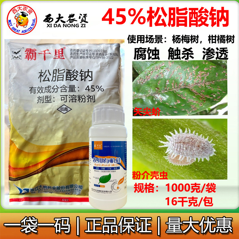 大鹏松脂酸钠介壳虫杀虫剂清园剂