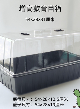多肉闷养三件套热植花烛培育种子穴盘塑料盆育苗育苗神器生根扦插
