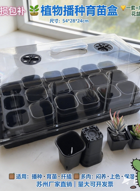 加高育苗盒三件套扦插出芽带盖子多肉闷养保温播种盘保湿育苗盘箱