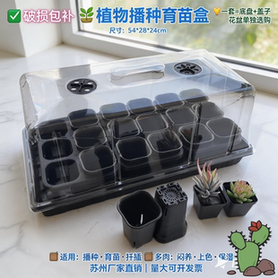 育苗盘箱 加高育苗盒三件套扦插出芽带盖子多肉闷养保温播种盘保湿