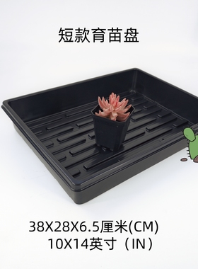 短款育苗盘黑色塑料盆浸盆水培盖子叶插用平盘多肉小黑方塑料盆